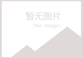 青海字迹制造有限公司